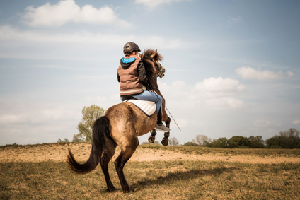 Problempferdetraining